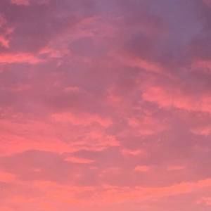 Meet your Posher, Marcy